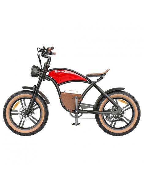 Hidoes B10 Bici elettrica motore da 1000W batteria da 48V 12 5Ah copertone da 20 x4' velocità massima 45km/h autonomia 60km Vendite Flash