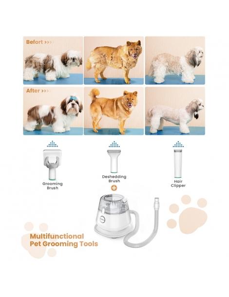 INSE P20 Tagliacapelli 5 in 1 per cani aspiratore tagliacapelli per animali domestici In Saldo