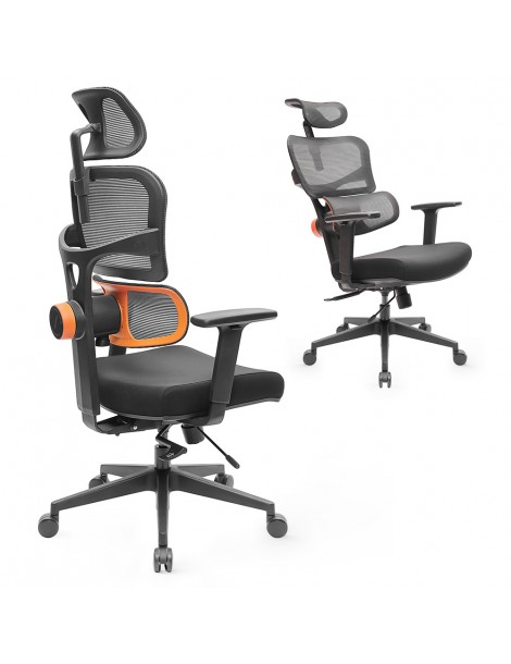 NEWTRAL Sedia Standard NT001 Sedia ergonomica adattiva con supporto per la parte bassa della schiena Economico