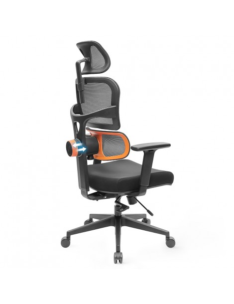 NEWTRAL Sedia Standard NT001 Sedia ergonomica adattiva con supporto per la parte bassa della schiena Economico