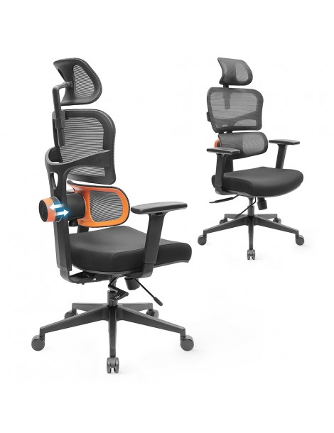 NEWTRAL Sedia Standard NT001 Sedia ergonomica adattiva con supporto per la parte bassa della schiena Economico