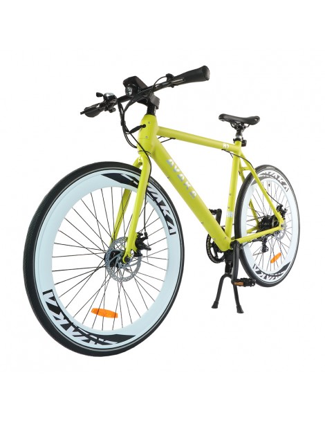 AVAKA R1 Bicicletta elettrica 250W Motore Batteria 9Ah- Verde Novità