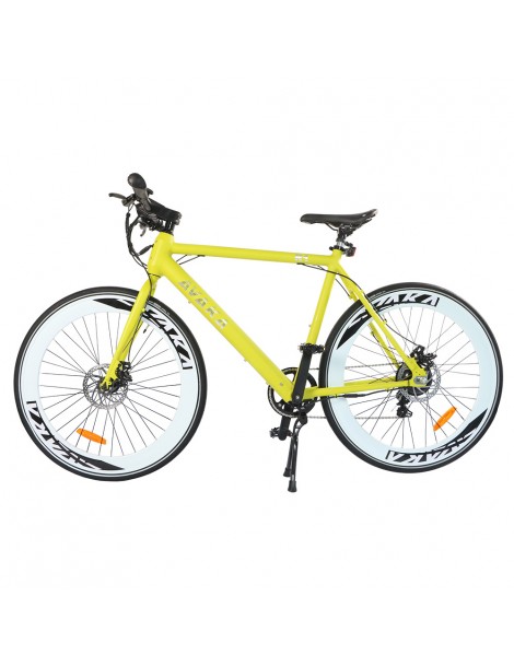 AVAKA R1 Bicicletta elettrica 250W Motore Batteria 9Ah- Verde Novità