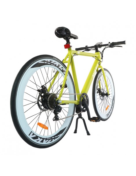 AVAKA R1 Bicicletta elettrica 250W Motore Batteria 9Ah- Verde Novità