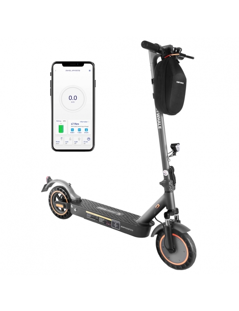 HONEYWHALE E9 MAX con omologazione stradale (ABE) scooter elettrico pieghevole con motore da 500W batteria da 36V 10Ah Italy