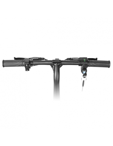 LAIFOOK Dolphin Bici Elettrica Pieghevole Motore 250W Batteria 36V 7.8AH Pneumatico 14 pollici - Nero Qualità Garantita
