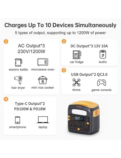 Newsmy N1200 Stazione di alimentazione portatile batterie LiFePO4 da 921Wh Qualità