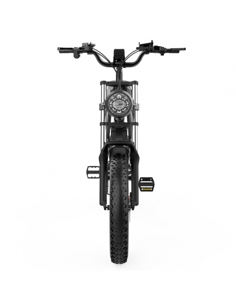 Ridstar Q20 Electric Bike 1000W Brushless Motor 20*4 Inch Fat Tires 48V 20Ah Removable Battery 30mph Max Speed Nuovi prodotti