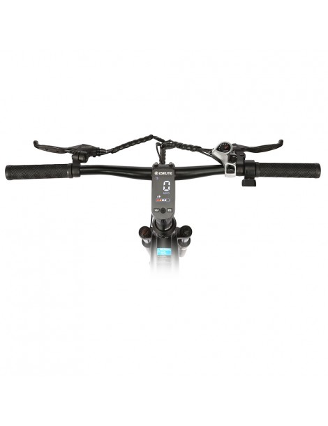 ESKUTE Netuno Bicicletta elettrica urbana 250W Bafang Motore a mozzo posteriore 36V 14.5Ah Batteria 65 miglia di autonomia Offerte stagionali