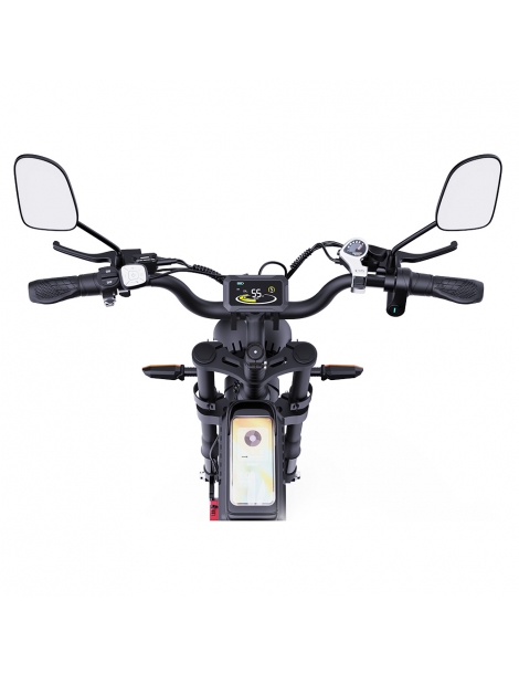 Ridstar Q20 Pro Off-road bicicletta elettrica doppia 1000W motore 52V 20AH doppia batteria Comprane uno, ottenene uno gratis