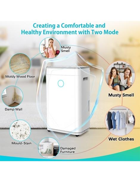 LUKO OL20-D030A Deumidificatore portatile per la casa capacità di deumidificazione di 20L Convenienza
