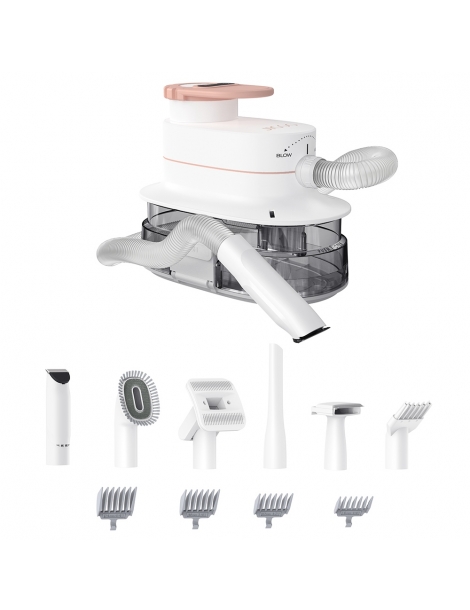JIGOO P300 Kit aspirapolvere per animali domestici 11 in 1 3 modalità di velocità contenitore per la polvere da 4 litri Sconto