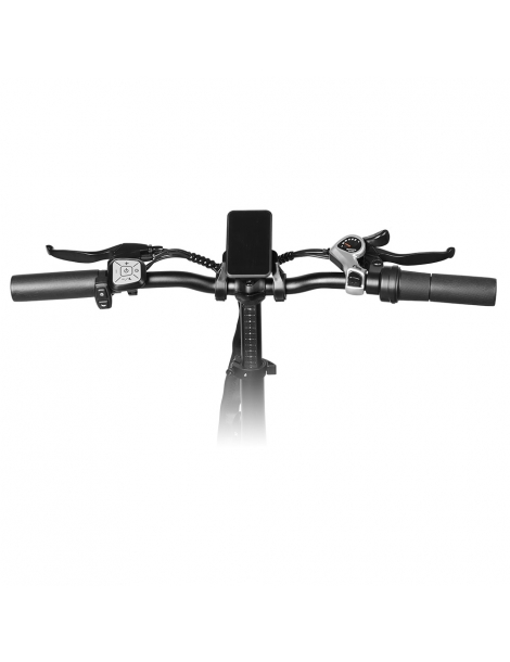 LAIFOOK Cityfun S Bicicletta elettrica pieghevole motore 250W batteria da 48V 10.4AH pneumatici grassi da 20 x 4.0" - Nero Comprane uno, ottenene uno gratis