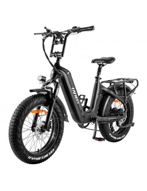 FAFREES F20 Master E-bike 20*4.0 pollici pneumatico 500W trazione posteriore 25km/h velocità massima-Nero Sconti VIP