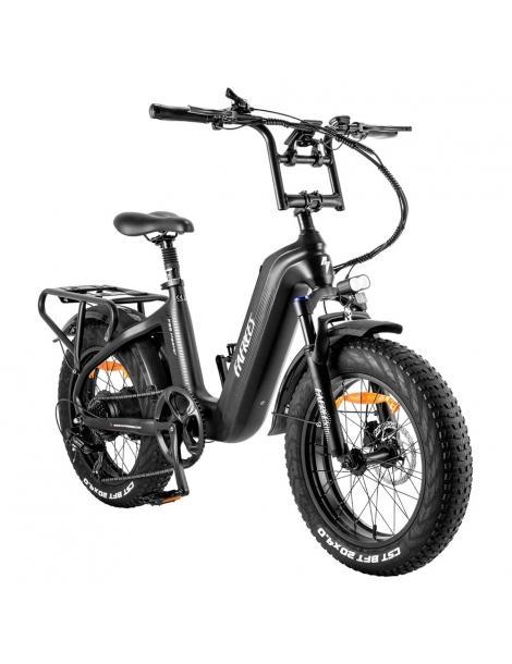 FAFREES F20 Master E-bike 20*4.0 pollici pneumatico 500W trazione posteriore 25km/h velocità massima-Nero Sconti VIP