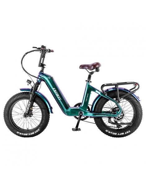 FAFREES F20 Master E-bike 20*4.0 pollici pneumatico 500W trazione posteriore 25km/h velocità massima-Verde Prezzo basso