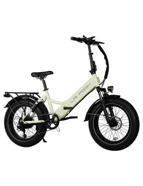LAIFOOK Cityfun S Bicicletta elettrica pieghevole motore da 250W batteria da 48V 10.4AH pneumatici grassi da 20*4.0" - Verde Ultimi due giorni