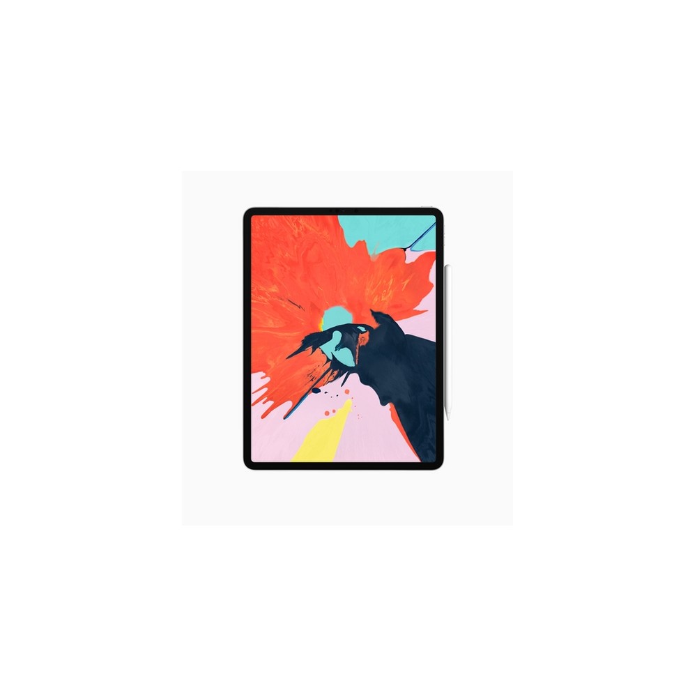 APPLE USATO PREMIUM iPad Pro 12 9" (2018 - 3th gen) Wi-Fi - 64GB Argento - USATO GRADO A Vendita