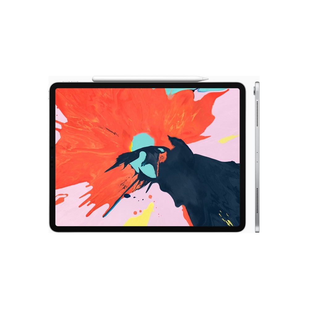 APPLE USATO PREMIUM iPad Pro 12 9" (2018 - 3th gen) Wi-Fi - 64GB Argento - USATO GRADO A Vendita