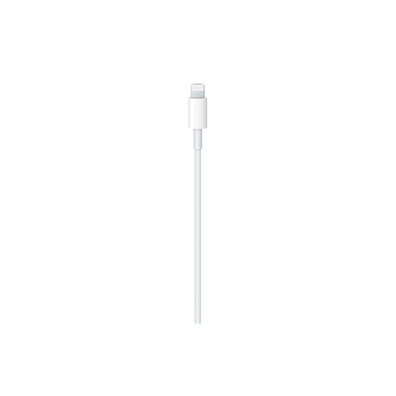 APPLE Cavo Apple Lightning a USB-C Fino al 55% di sconto