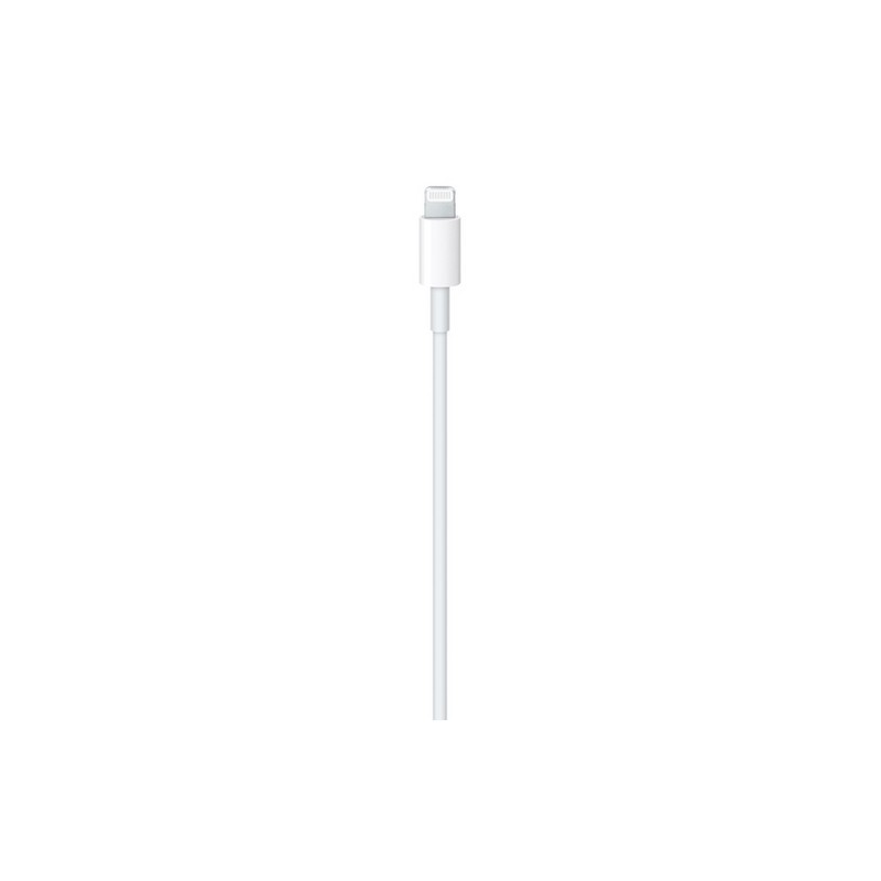 APPLE CAVO APPLE LIGHTNING USB-C Sottocosto
