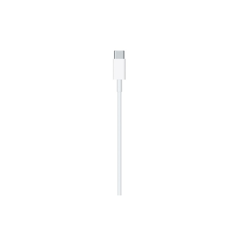 APPLE CAVO APPLE LIGHTNING USB-C Sottocosto