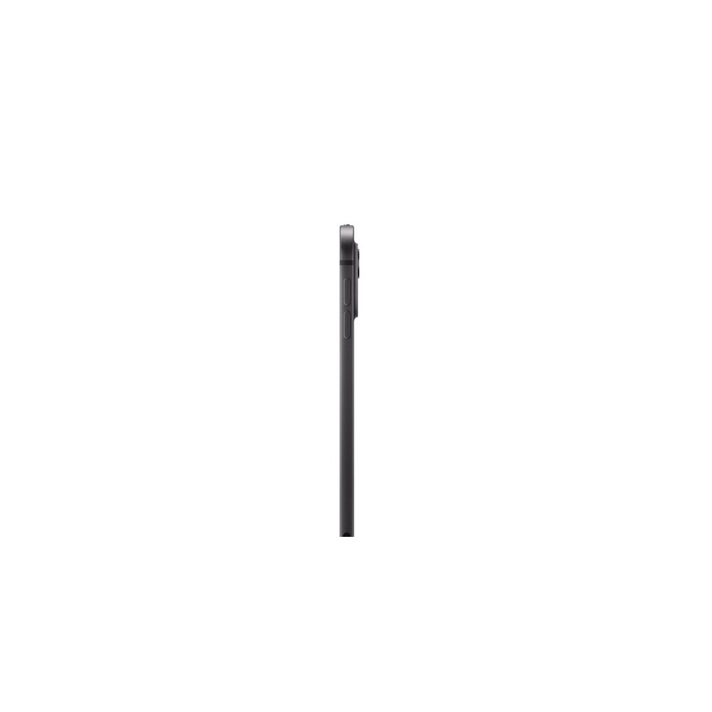 APPLE iPad Pro 11" WI-FI + Cellular 2TB Vetro Nanotexture In Saldo