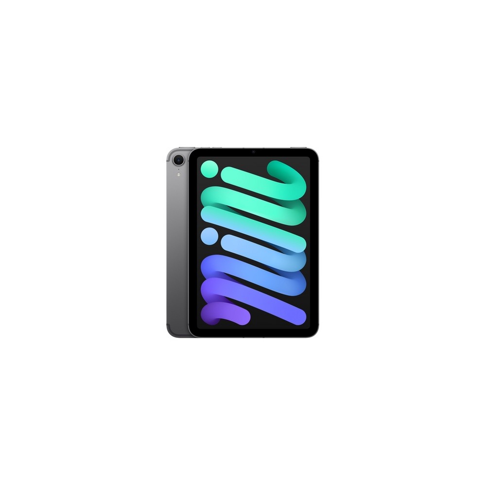 APPLE iPad mini Wi-Fi + Cellular 256GB Offerta natalizia