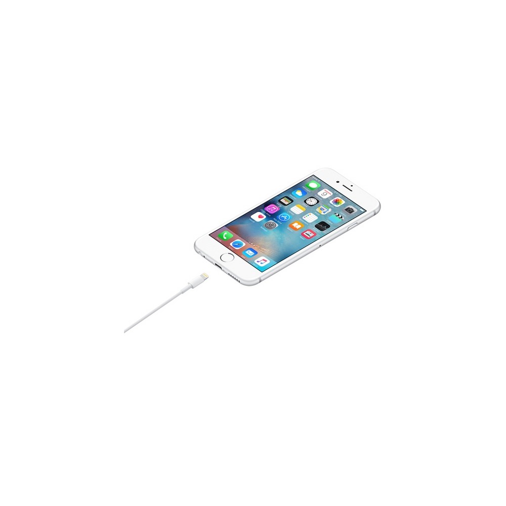 APPLE CAVO APPLE DA LIGHTNING A USB Sostegno trimestrale
