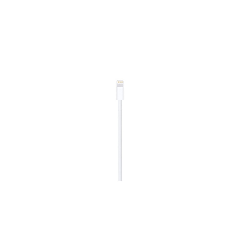 APPLE CAVO APPLE DA LIGHTNING A USB Sostegno trimestrale