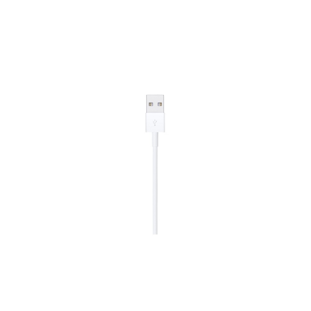 APPLE CAVO APPLE DA LIGHTNING A USB Sostegno trimestrale